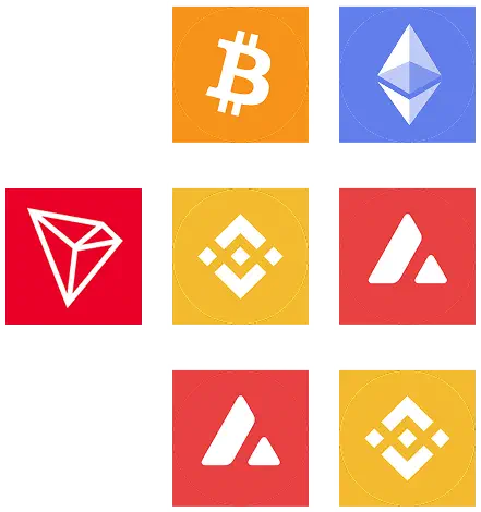 Blockchain Networks